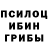 Псилоцибиновые грибы мицелий CamanYo Vlogz