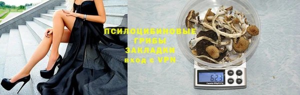 apvp Балахна